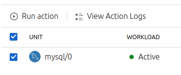 Juju dashboard running actions