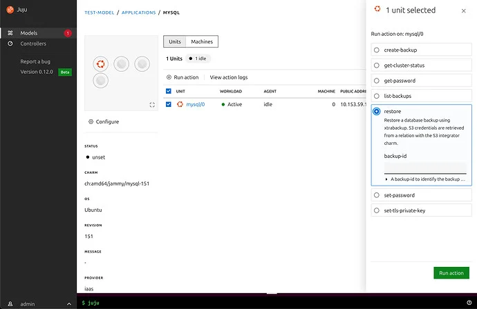 Juju dashboard running actions